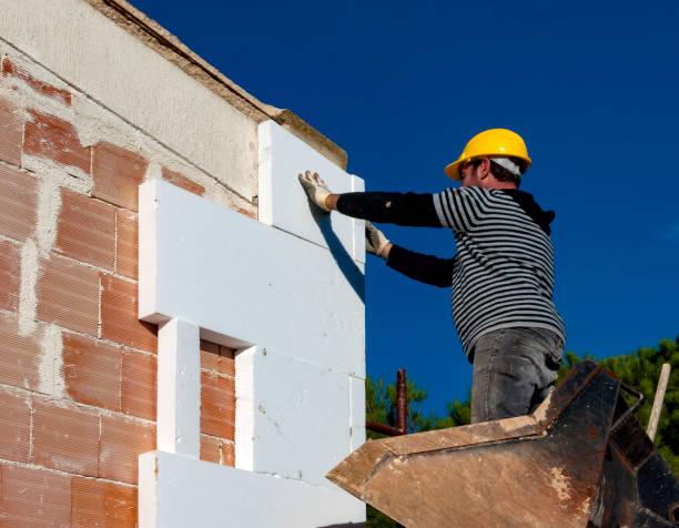 Best Specialized Insulation Services in Rio Grande City, TX