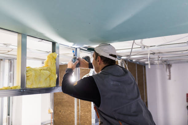 Best Spray Foam Insulation in Rio Grande City, TX