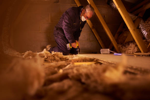 Best Spray Foam Insulation in Rio Grande City, TX
