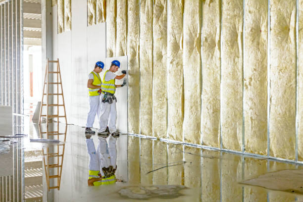 Best Commercial Insulation in Rio Grande City, TX